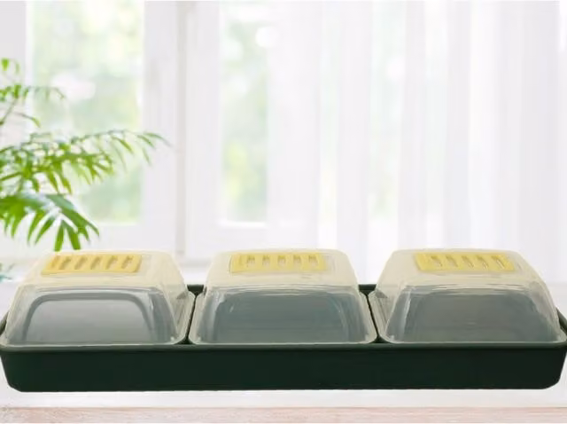 Whitefurze Green Transparent Plastic Windowsill Propagator Set W/D/H: 19.5 x 19.5 x 6.5 cm