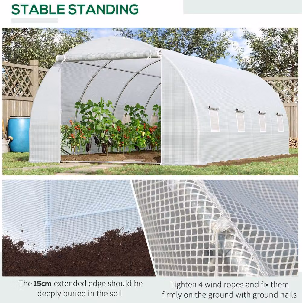 STILVORA Walk-In Greenhouse in White with 8 Windows, W/D/H: 595 x 300 x 300 cm – 3
