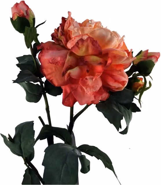 Dyzi Pink Peony Artificial Flower Stem, Height: 60 cm