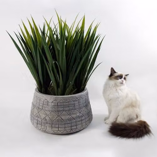 Leaf Gliese Embossed Large Round Planter in Green or Grey, H 37 cm, W 22 cm – 6