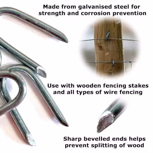Actiaspet Galvanised Steel U Nails Fencing Staples, Silver, 100 Pack, 20mm x 8mm – 3