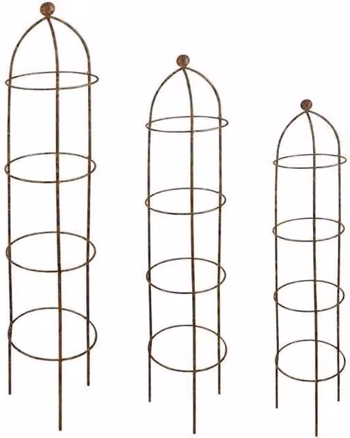 Garden Pride Metal Growing Obelisk Support in Rustic Brown, W/D/H: 24 x 24 x 140 cm