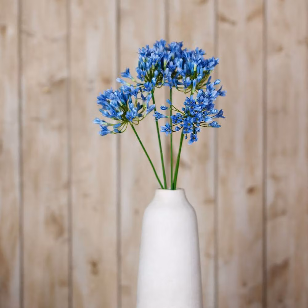 Hill Interiors Agapanthus Artificial Flower Spray in Blue – 2