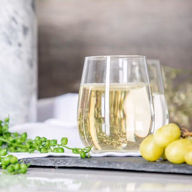 LAV Gaia Stemless Wine Glass Set, 12 Pieces, Transparent