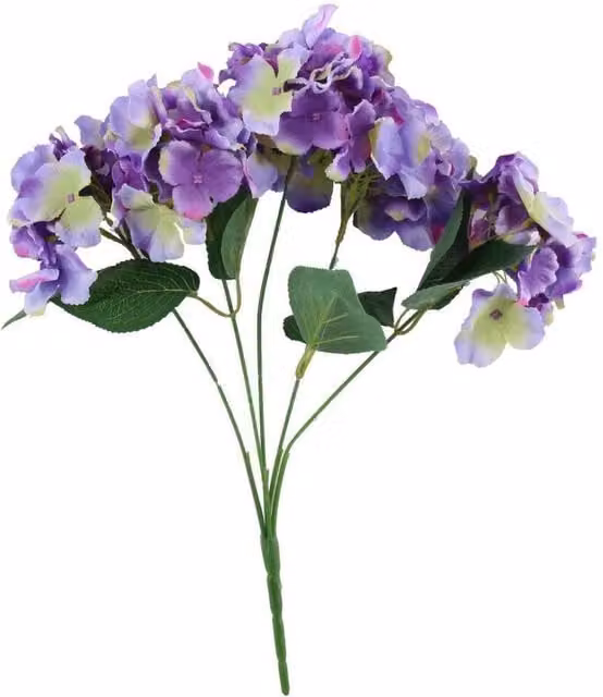 KDMD Purple Arundel Hydrangea Bush, 2 Pack