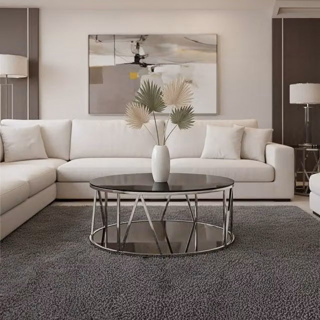 Orsina Modern Round Glass and Metal Coffee Table in Black and Silver – 1