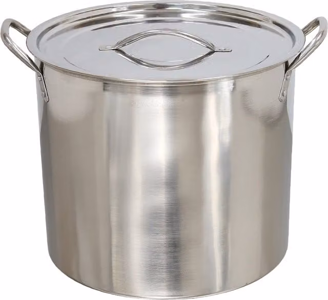 Buckingham Stainless Steel Stock Pot with Lid, Silver, 15 l, Diameter: 29 cm