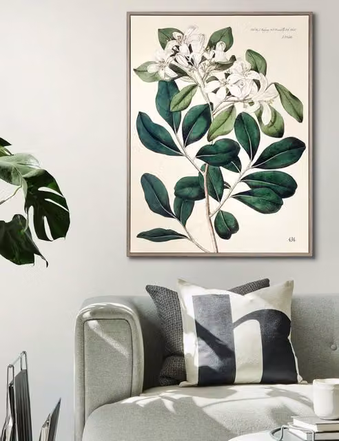 Gallery Direct Foliage and Blooms Botanical Framed Wall Art in Multicolour