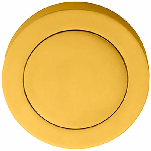 Loops 51mm Polished Brass Blank Escutcheon with Concealed Fix Rose