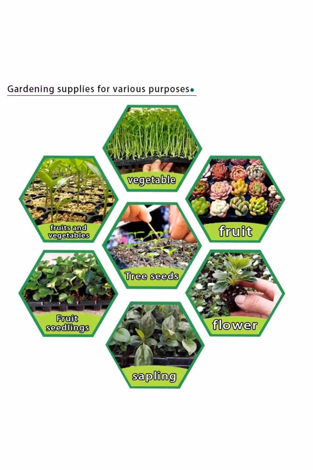 KDMD 3-Piece 24-Cell Black Plastic Plant Trays for Seed Germination and Garden Use – 4