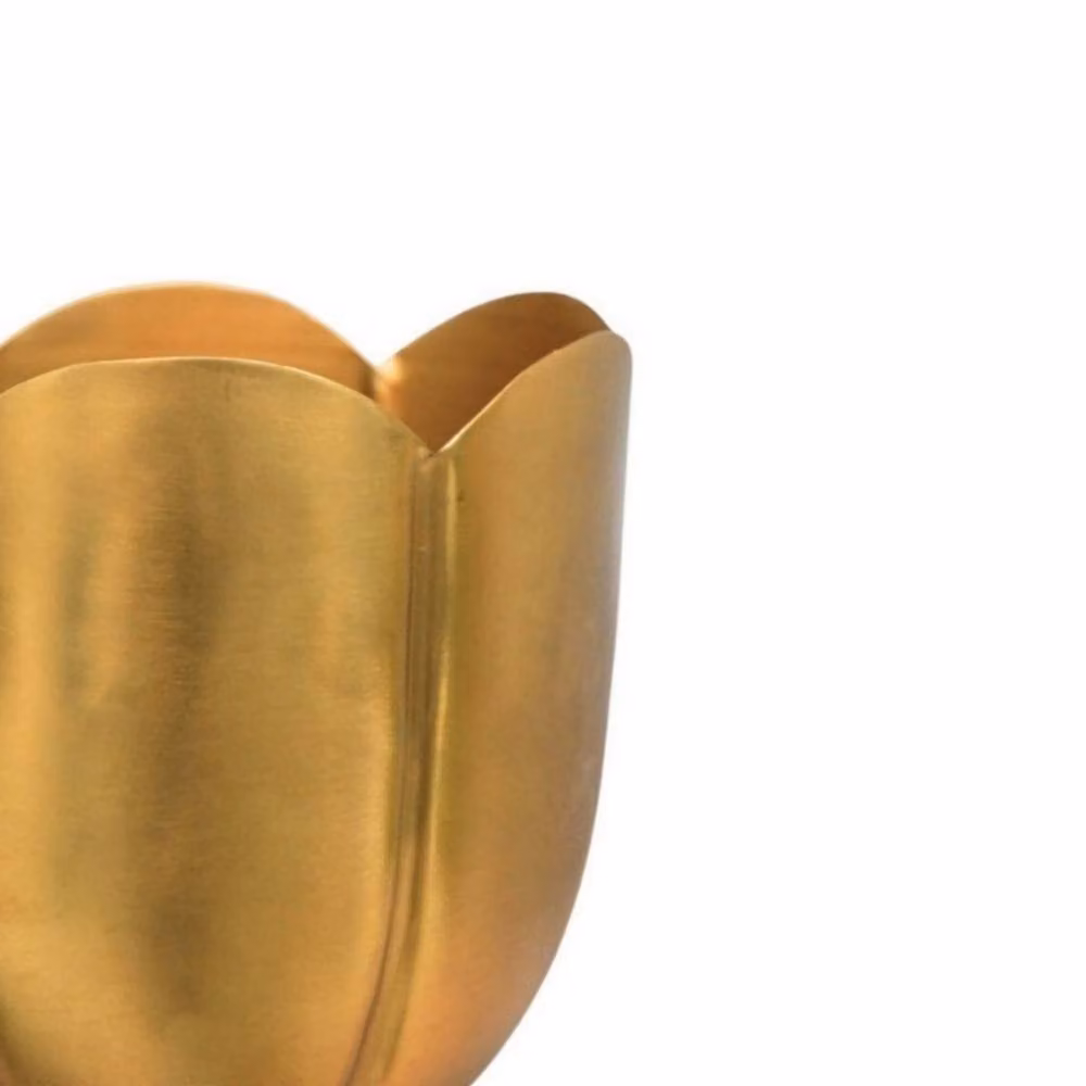Lemon Pavilion Furniture and Decor Eva Tulip Metal Tabletop Planter, Set of 2, Gold, W: 18 cm, D: 18 cm, H: 17 cm – 2