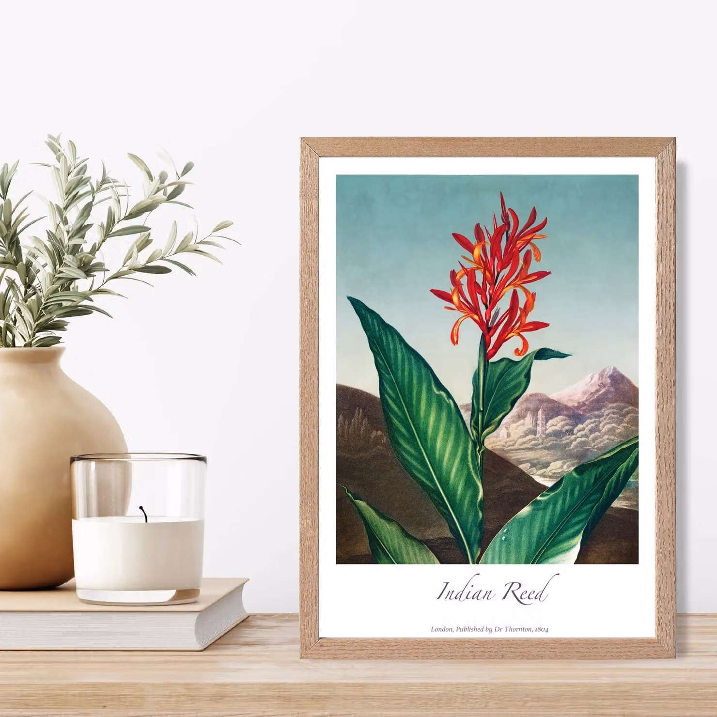 ARTZE Vintage Floral Indian Reed Framed Print with Oak Frame in Red – 2
