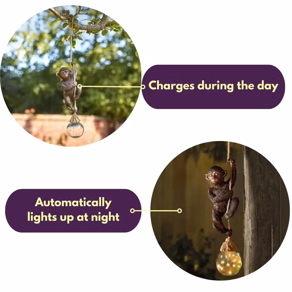 Marco Paul Bronze Monkey Hanging Solar Powered Garden Ornament, Height: 34 cm – 4