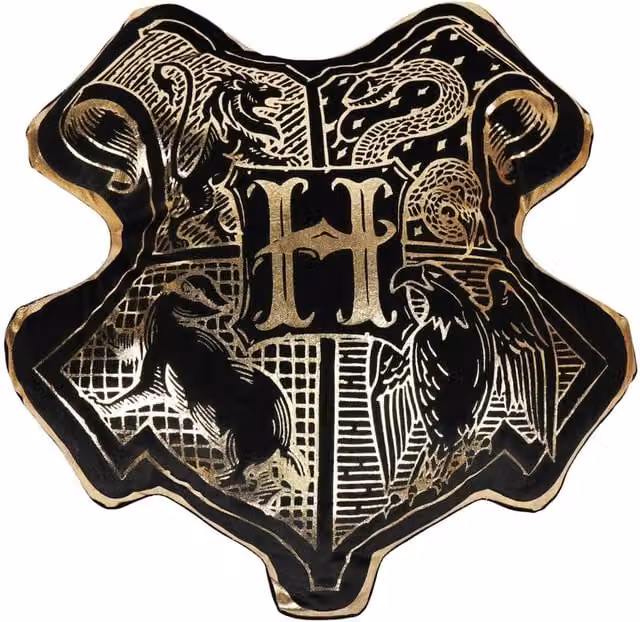 Warner Bros Harry Potter Alumni Velvet Cushion in Black