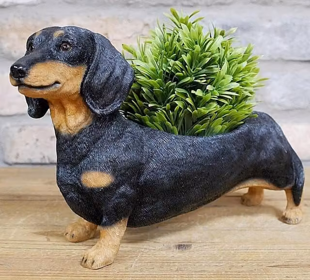 Animal Crackers Dachshund Planter Ornament in Brown and Black for Home or Garden Decoration – 1