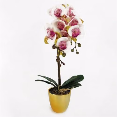 Leaf Design UK Harlequin Pink Artificial Orchid in a Gold Pot, Height: 48 cm – 1
