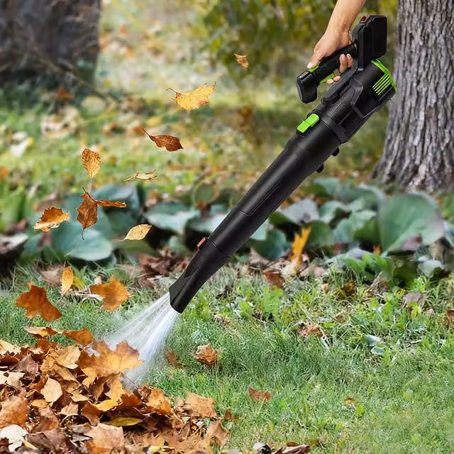 Ventryn 21V Brushless Motor Cordless Electric Leaf Blower with Rechargeable Battery, Black