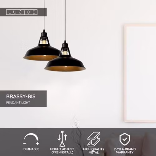 Lucide Brassy-Bis Black Metal Industrial Dome Pendant Light, Diameter: 31 cm – 2