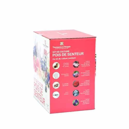 Thompson & Morgan Sweet Pea Blooming Bouquet Grow Kit with 5 Fragrant Varieties in Red and Multicolour – 2