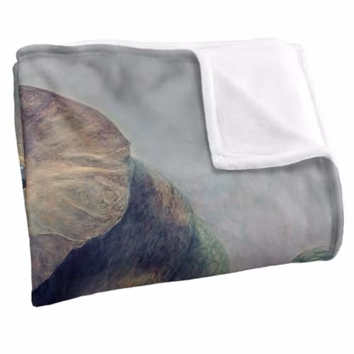 JQ Licensing Elephants Fighting Silky Touch Super Soft Fleece Throw Blanket, White, W/D/H: 152 x 127 cm – 2