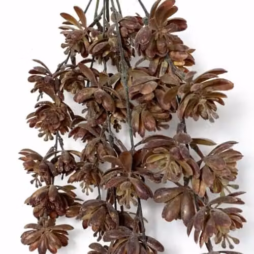 Leaf UK Pack of 6 Artificial Hanging Trailing Sedum Succulent Plants in Brown, 70 cm – 3