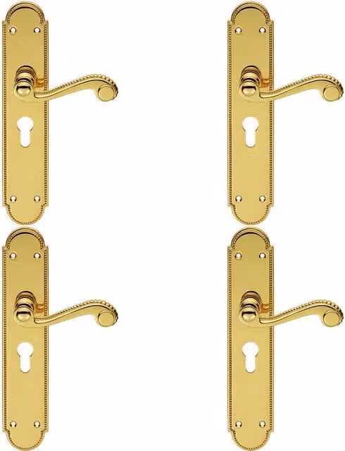 Loops 4x Pair Beaded Pattern Handle on Euro Lock Backplate, Polished Brass, 249 x 50 mm