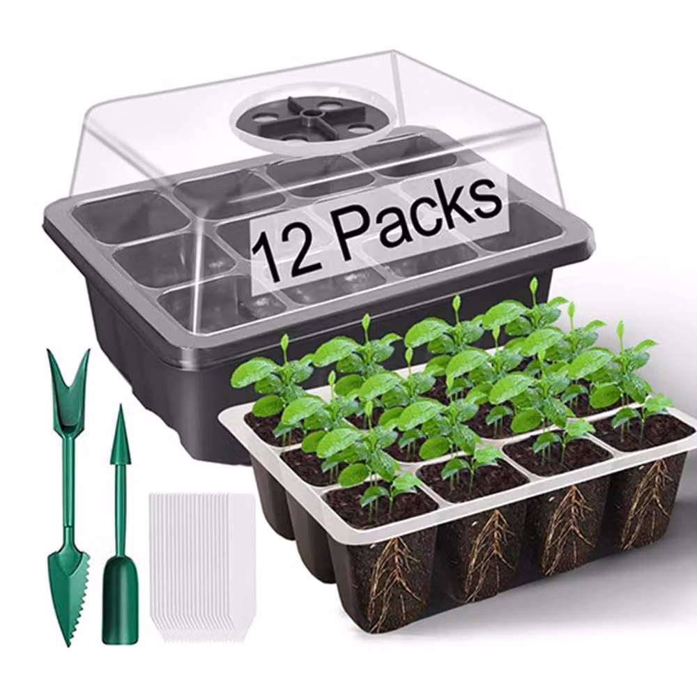 Dragodirect 6 Pack Seed Tray Propagator Set with Transparent Lids in Green – 3