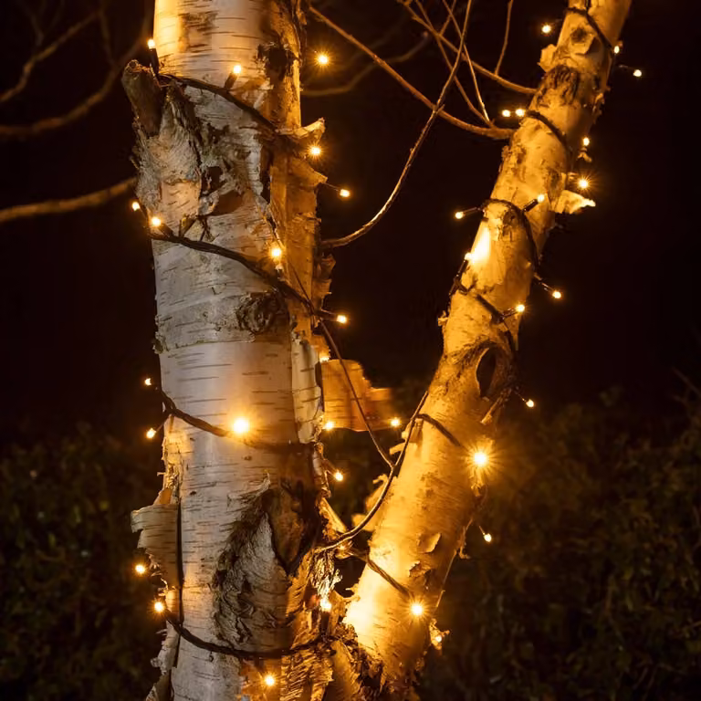 Pro Connect 1700 LED Connectable String Lights with Warm White Bulbs and Black Cable