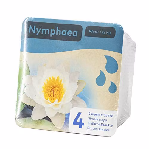 YouGarden White Nymphaea Albida Deep Water Lily Planting Kit – 3