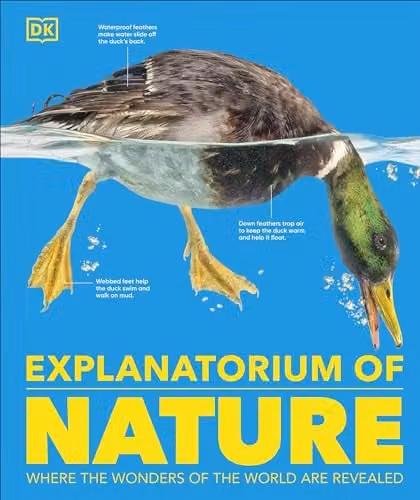 DK Explanatorium of Nature Multicolour Paper Book – 1