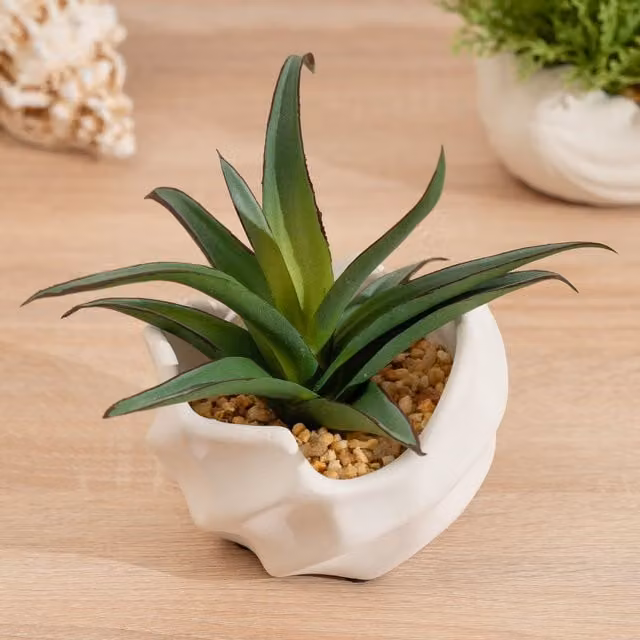 Scottish Everlastings Ltd Spiky Succulent in Wavy Concrete Pot, Green and White