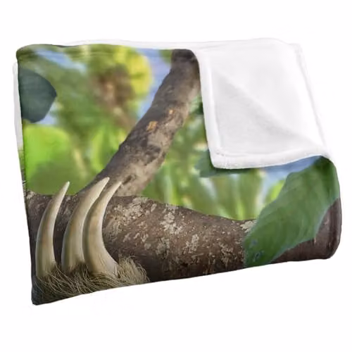 JQ Licensing Jlo Sloth Family Butterflies Super Soft Silky Touch Throw Blanket, White, W: 152 cm, D: 127 cm – 2