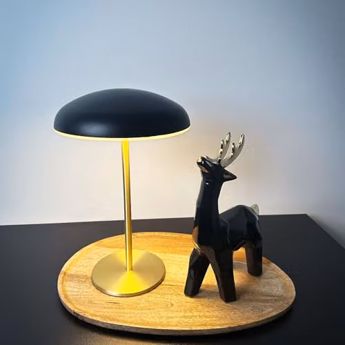 Briloner Rechargeable LED Table Lamp with Touch Dimming, IP44 Rated, Black and Gold/Brass, H x W x D: 30.5 x 19.5 x 19.5 cm – 8