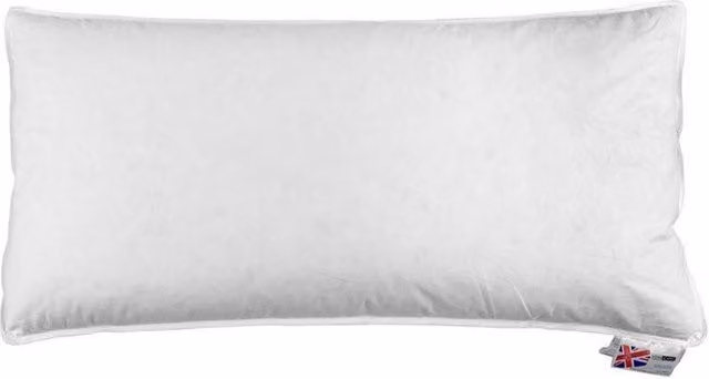 Homescapes Duck Feather Euro Continental Pillow, White, W/D/H: 80 x 40 x 0 cm