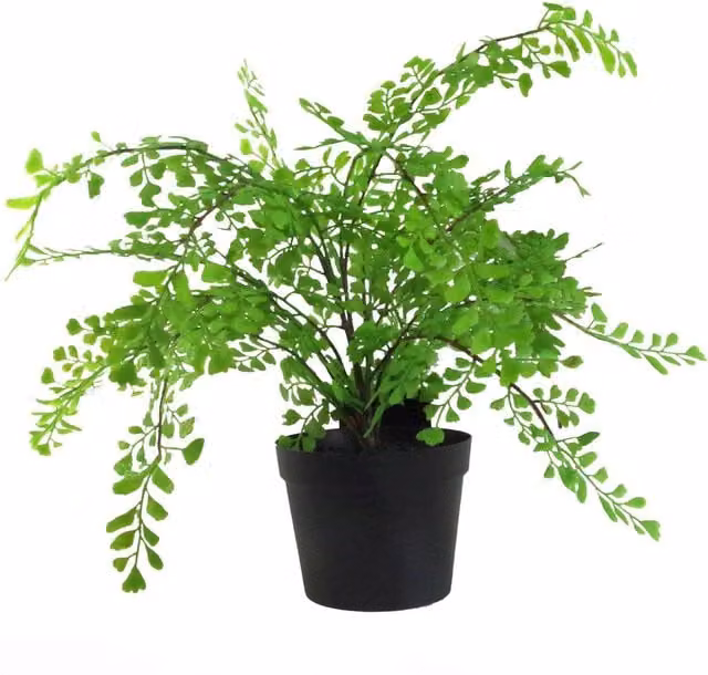 Green Artificial Maiden Fern Plant in a Black Plastic Pot for Tabletop Display