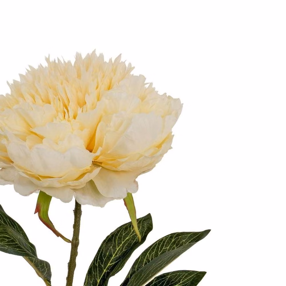 Hill Interiors Double Peony Artificial Potted Plant in Beige and White – 2