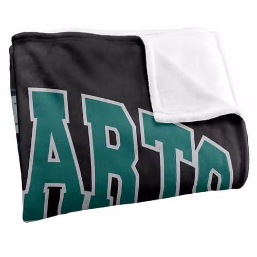 Warner Bros. Harry Potter Hogwarts Slytherin Super Soft Silky Touch Fleece Throw Blanket, Multicolour, W: 152.4 cm x D: 127.0 cm – 2