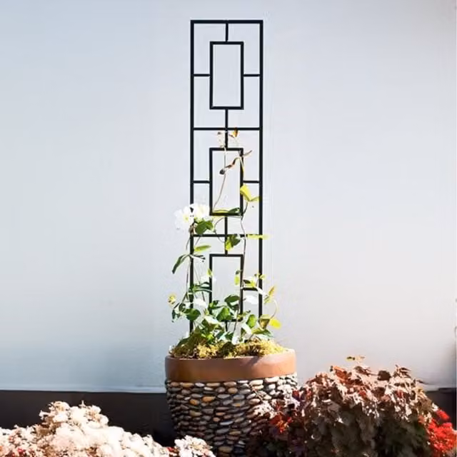 Primrose Black Steel Rectangular Potted Plant Trellis and Climber Support