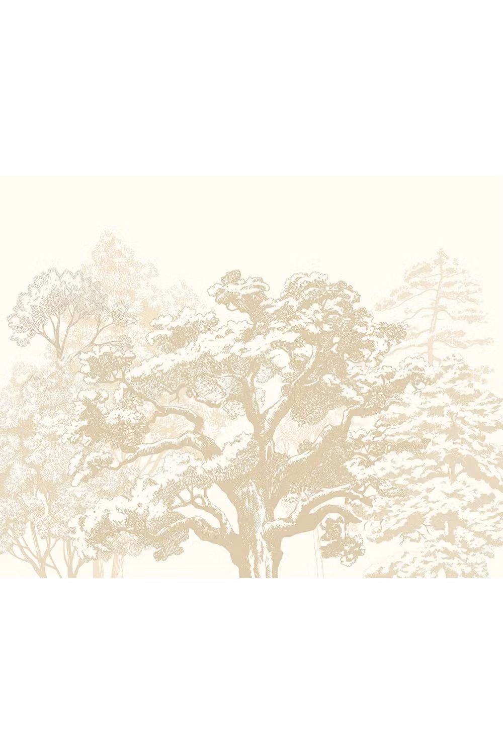 Origin Murals Etched Trees Wall Mural in Light Beige, W: 350 cm, H: 280 cm – 2