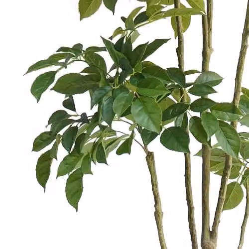 Leaf UK XL Luxury Artificial Botanik Tree in Green, Height: 180 cm – 2