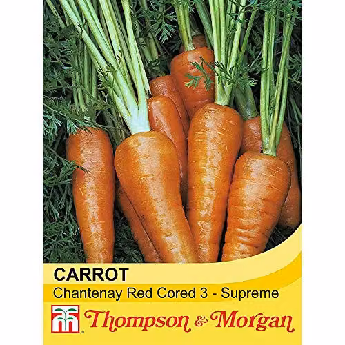 Thompson and Morgan Chantenay Red Cored Carrot Vegetable Seeds, 1500 Seeds – 1