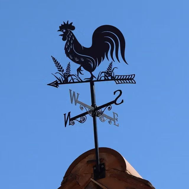 Betley Butterfly Black Metal Cockerel Silhouette Weathervane Garden Ornament