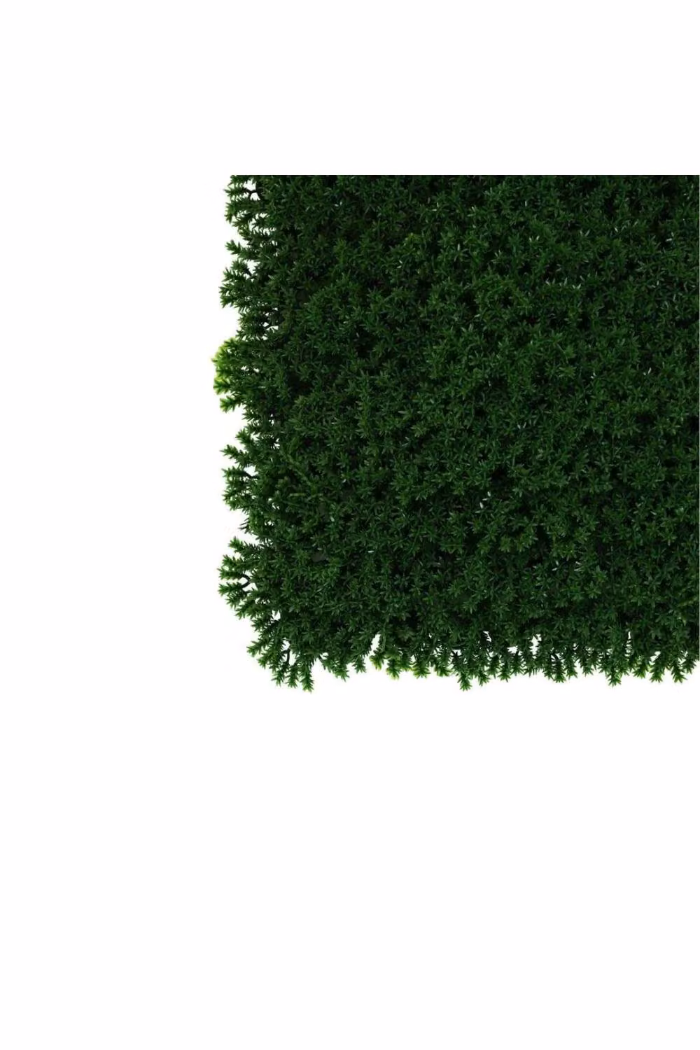 KDMD Dark Green Exterior Moss Wall, W/H: 50 x 50 cm – 3
