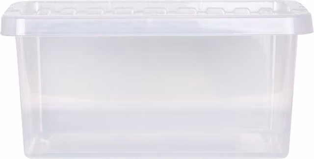 Wham Crystal Storage Box with Lid, Transparent, 11 l
