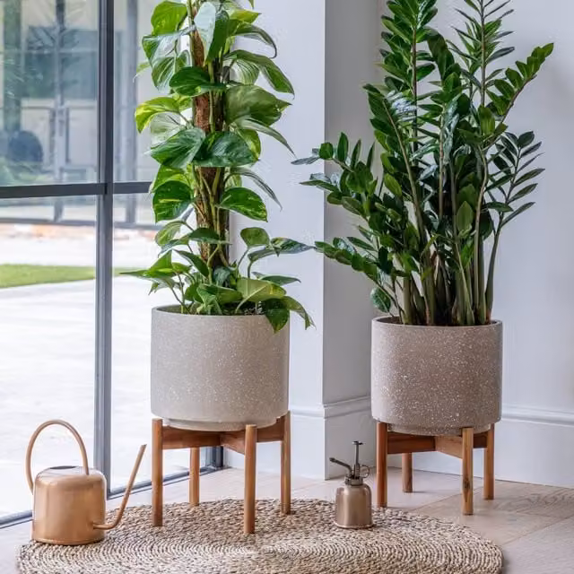 Ivyline Valetta Caramel Speckled Ceramic Planter with Stand, Light Beige, H33 x D24 cm