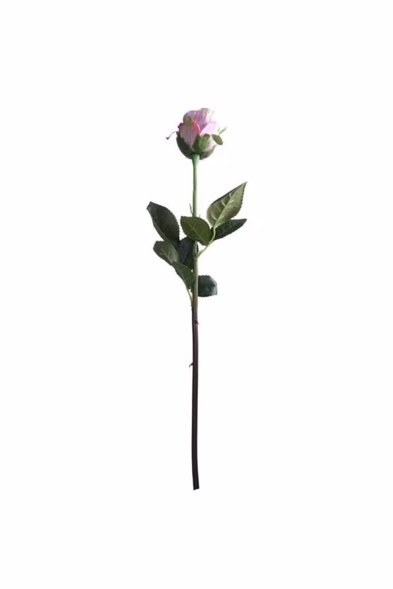 KDMD Small Rose Bud Lavender 3 Pack in Purple and Pink