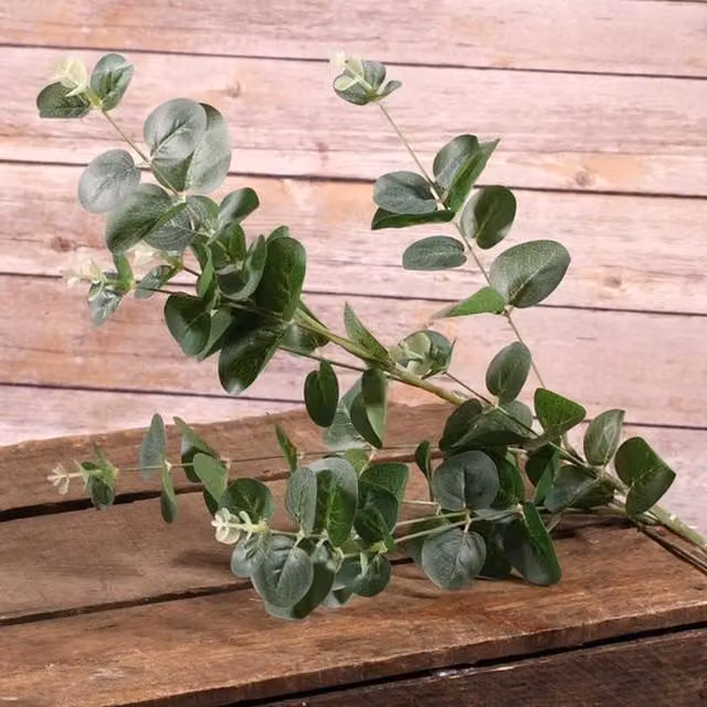 Kingsbury Gifts Artificial Eucalyptus Pick, Green, Height: 91 cm