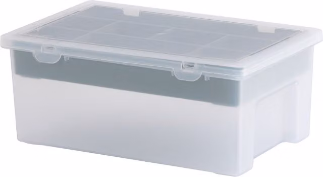Wham Organiser with Lid in Green and Transparent Plastic