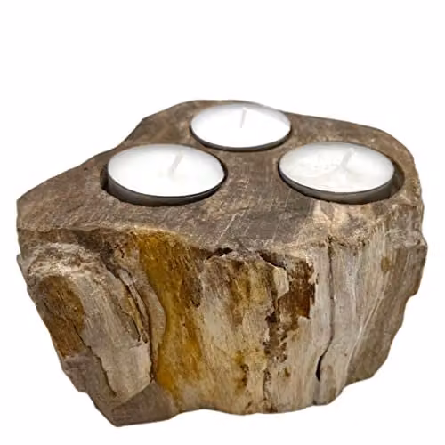 Ancient Wisdom Petrified Wood Tealight Candle Holder in Brown – 1