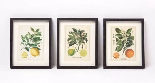 Homescapes Botanical Citrus Fruit Framed Wall Prints, Set of 3, Multicoloured, W: 25 cm, H: 20 cm